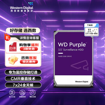 西部數(shù)據(jù) WD）監(jiān)控級(jí)硬盤 WD Purple 西數(shù)紫盤 CMR垂直 SATA 4TB （WD43PURZ）