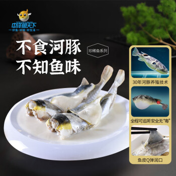 中洋魚天下 ZHONGYANG GLOBAL FISH 河豚魚 150g-200g