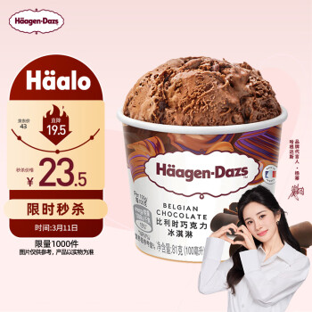 比利时 Durobor Häagen·Dazs 哈根达斯 比利时巧克力冰淇淋 81g