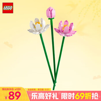 樂高 LEGO 植物系列 40647 荷花