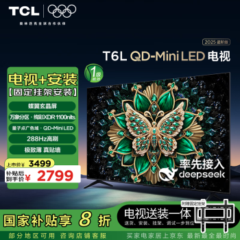 TCL 65T6L 包安装版65英寸 QD-Mini LED电视 T6L+安装服务含挂架