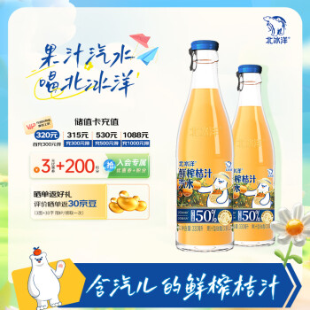 北冰洋 Arctic Ocean 北冰洋 鲜榨桔汁汽水 330ml*6瓶