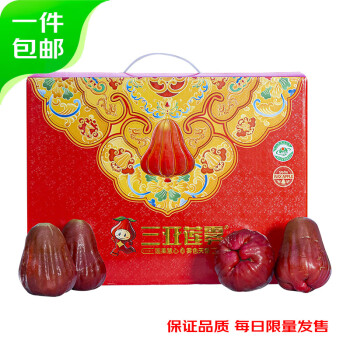 京鲜生 三亚南鹿莲雾 净重3斤 单果100g起 微瑕疵小裂口花皮 源头直发