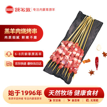 额尔敦 内蒙古羔羊肉串 200g(10串) 鲜冻