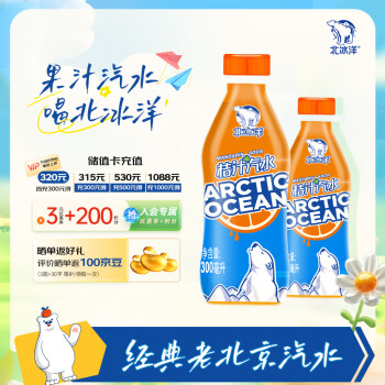北冰洋 Arctic Ocean 北冰洋 桔汁汽水300ml*24瓶