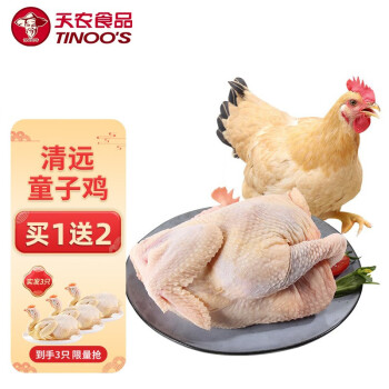 天農(nóng) 食品  清遠(yuǎn)嶺南童子雞  3只  單只600g