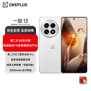 移動(dòng)端、京東百億補(bǔ)貼：一加 OnePlus 13 12GB+256GB 白露晨曦 高通驍龍8至尊版 6000mAh