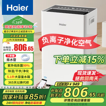 海爾 Haier 除濕機(jī)/抽濕機(jī)除濕量22升/天家用輕音