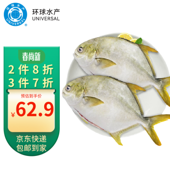 環(huán)球水產 UNIVERSAL 冷凍南海二去金鯧魚900g 2條裝去鰓去臟 深海魚 生鮮魚類