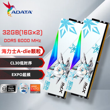 威剛 DATA 威剛 DDR5 6000MHz RGB 臺式機內存 32GB（16GB