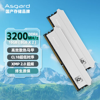 阿斯加特 16GB(8Gx2)套裝 DDR4 3200 臺(tái)式機(jī)內(nèi)存條 弗雷系列-鈦銀甲