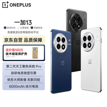 移動(dòng)端、京東百億補(bǔ)貼：一加 OnePlus 13 5G手機(jī) 12GB+512GB 白露晨曦 驍龍8至尊版