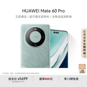 華為 HUAWEI Mate 60 Pro 手機 12GB+256GB 雅川青