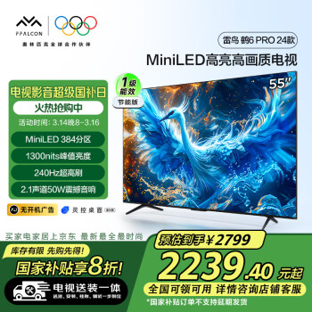 雷鳥 鶴6 Pro 24款 55英寸MiniLED 4+64GB 液晶平板電視機(jī)55S585C Pro-JN 55英寸 鶴6 PRO 24款一級能效