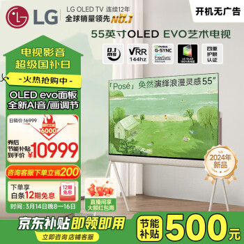 LG 奂然系列 55英寸OLED艺术画廊电视 AI音画调节 杜比视界&全景声 多功能背板 55LX1TPCA 欧洲杯