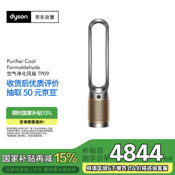 戴森 dyson TP09 無葉風(fēng)扇 黑金色