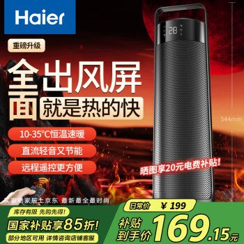 海爾 Haier 取暖器家用暖風機遙控電暖器輕音電暖風立式電暖氣浴室暖風扇節(jié)能速熱烤火爐 遙控款HNF-S2049B