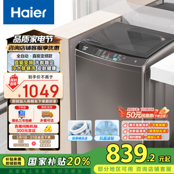 海尔 Haier EB100B20Mate1 变频波轮洗衣机 10kg 灰色