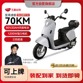 移動端、京東百億補貼：五星鉆豹 60V20A長續(xù)航電動摩托1200W G1