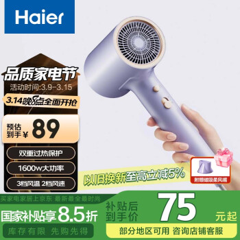 海爾 Haier 電吹風(fēng)機 千萬級負(fù)離子大功率  HCZ1 靈境紫