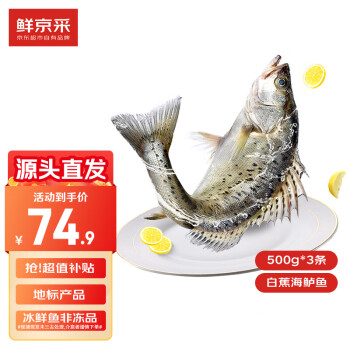 鲜京采 白蕉海鲈鱼 500g*3条