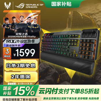 玩家国度 ROG 龙骑士 2 PBT版 104键 2.4G双模无线机械键盘 黑色 ROG RX蓝轴