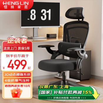 恒林家居 HENGLIN 家居 水母椅學習椅家用小戶型電腦椅久坐舒適椅子HLC-3519 帶頭枕