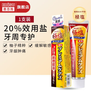 EBiSU 惠百施 牙膏日本进口 极盐加护成人牙膏100g 清新柚子味  极盐加护牙膏100g