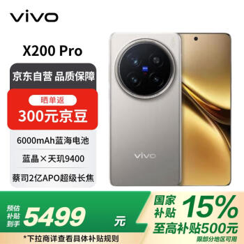 vivo X200 Pro 16GB+512GB 鈦色 蔡司2億APO超級(jí)長(zhǎng)焦 藍(lán)晶×天璣9400 藍(lán)海電池政府補(bǔ)貼