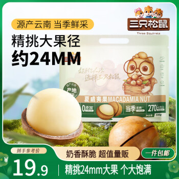 移動(dòng)端、京東百億補(bǔ)貼：三只松鼠 夏威夷果500g/袋