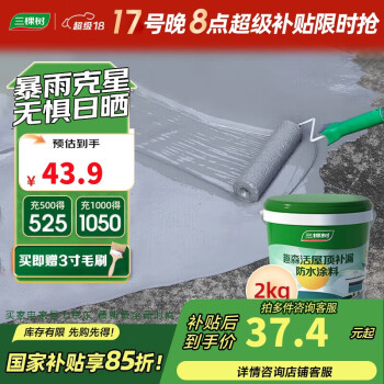 三棵树 漆屋顶防水涂料耐候升级室外防水楼顶补漏材料防漏外墙涂料 灰色2kg