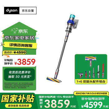 移動端、京東百億補貼：戴森 dyson V15 Detect Fluffy 手持式吸塵器 藍色