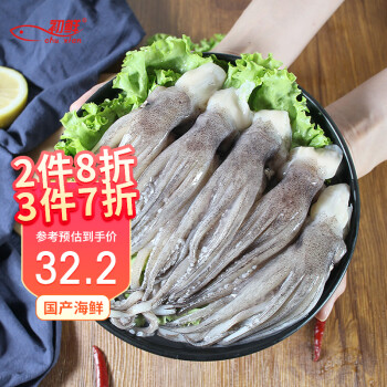 初鮮鮮凍魷魚頭魷魚須400g57只鐵板魷魚燒烤火鍋食材海鮮送禮