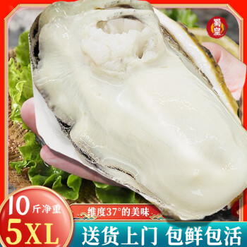 蜀皇 乳山生蠔鮮活特大牡蠣海蠣子帶殼貝類海鮮水產(chǎn)10斤5XL號 5XL號