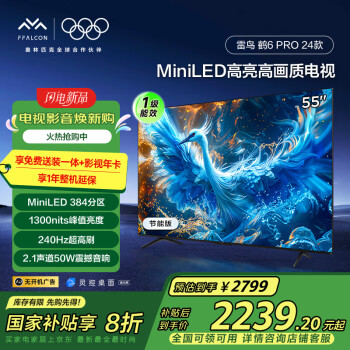 雷鸟 鹤6 Pro 24款 一级能效版 MiniLED55英寸 家电政府补贴 4+64GB 智能电视机55S585C Pro-JN