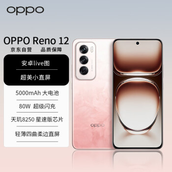 移動(dòng)端、京東百億補(bǔ)貼：OPPO Reno12 5G手機(jī) 16GB+512GB 柔和桃