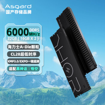 阿斯加特 32GB(16Gx2)套 DDR5 6000 臺式機(jī)內(nèi)存條 雷神索爾馬甲條 極夜黑 C28