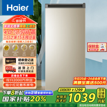 海尔 Haier BD-193MDT 冰柜 193L