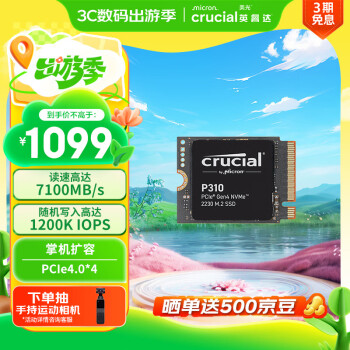 Crucial P310 M.2 NVMe 2230 固态硬盘 2TB（PCI 4.0）