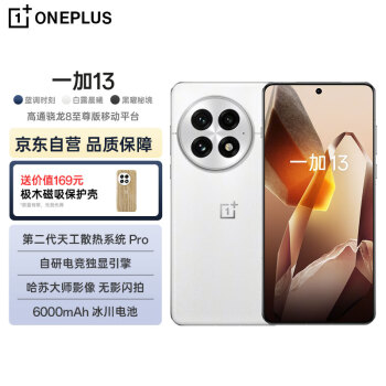 移动端、京东百亿补贴：一加 OnePlus 13 12GB+256GB 白露晨曦 高通骁龙8至尊版 6000mAh