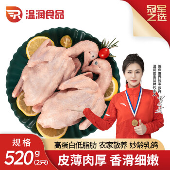 温润 食品乳鸽净重520g（260g*2只）