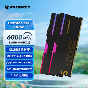 宏碁掠夺者 32G(16G×2)套装 DDR5 6000频率 台式机内存条 Hermes冰刃系列 R