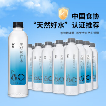 依能 天然蘇打水無糖無汽500ml*24瓶