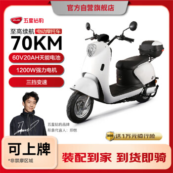 五星鉆豹 電動車60V20AH電動摩托車1200W大功率外賣車兩輪成人男女式電瓶車 G1 天使稚白