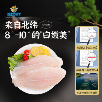 中洋鱼天下 ZHONGYANG GLOBAL FISH 越南去皮巴沙鱼柳 600g