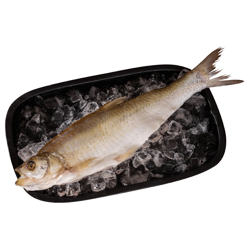 黃小漁 半邊白條魚(yú) 翹嘴魚(yú) 425g*2袋  56.2元（需領(lǐng)券）