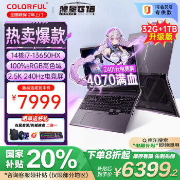 七彩虹 COLORFUL 隱星G16 24款4070電競游戲本16英寸大屏筆記本電腦 （13代i7HX/4070