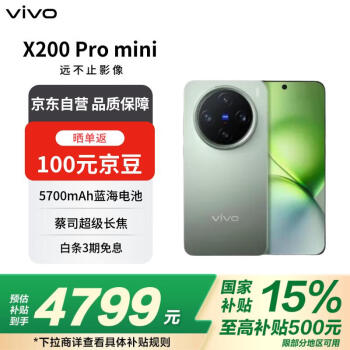 vivo X200 Pro mini 5G手机 16GB+512GB 钛青