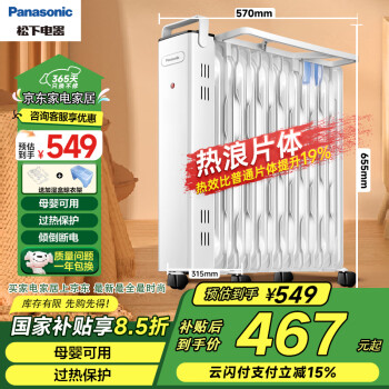 松下 Panasonic DS-U2221CW 電熱油汀 13片