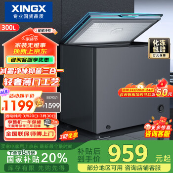 星星 XINGX 300升微霜冰柜零下30℃单温卧式冷柜1级能效 BD/BC-300KE 300升